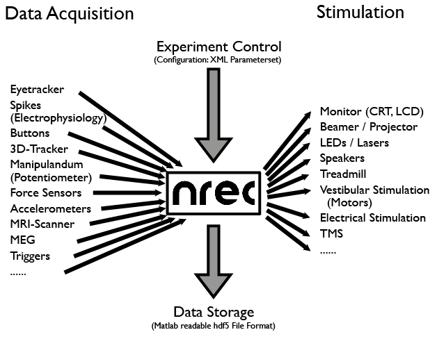 acquisition_stimulation.png